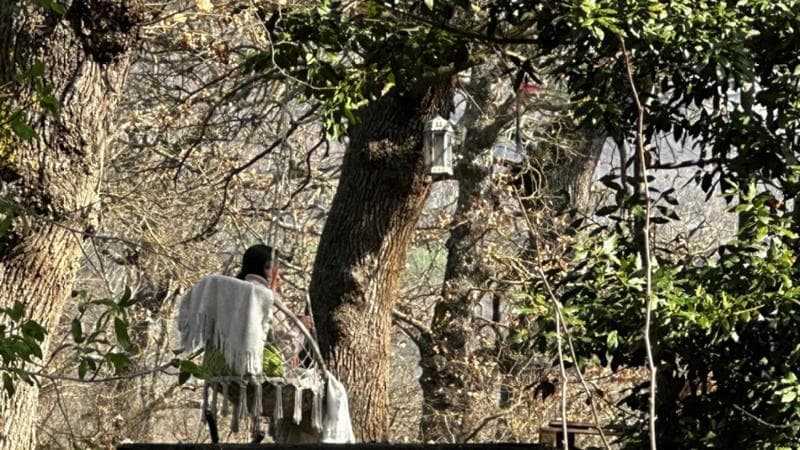 L'invito di Nathan: “Stop ai cortei, i bambini devono rimanere a Vasto” 1