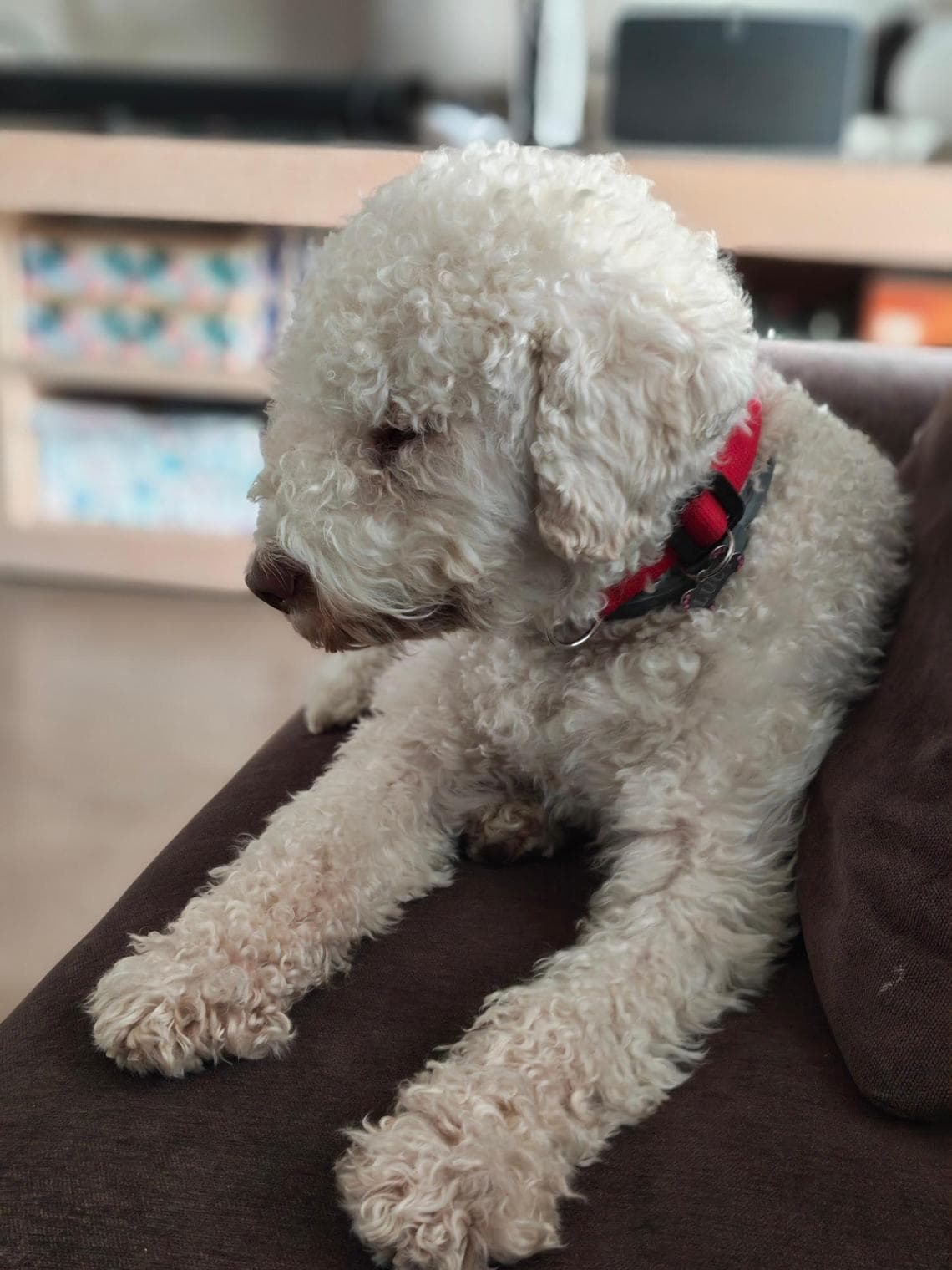 Nothing (4a) pro, la valutazione: il design impressiona, ma la sua forza risiede nell'armonia. 3