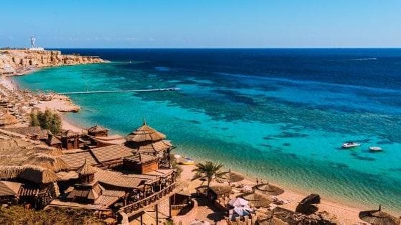 Partono per una vacanza a Sharm, lasciando i cinque figli minori in custodia a una comunità. 2