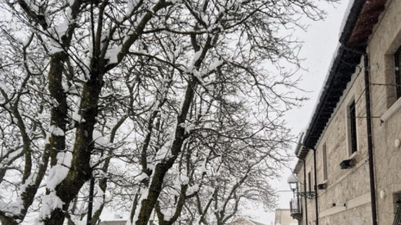 Previsioni meteorologiche: il primo fine settimana di primavera porterà nevicate sulle Alpi a quote di 900 metri. 2