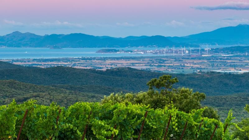 Previsioni meteorologiche: temperature temperate con scarse precipitazioni. Persistono le nebbie. 1