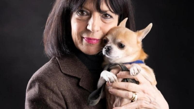 Romana Petri: “Descrivo come l'invidia per il trionfo femminile si trasforma in aggressione” 1