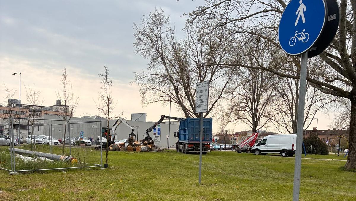 Taglio di alberi per la fiera di San Giorgio. La Civica Anselmo richiede spiegazioni. 1