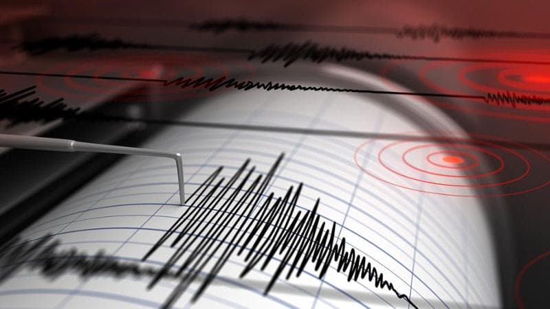 Terremoto in Calabria, magnitudo 3.9 registrata nel Cosentino. 1