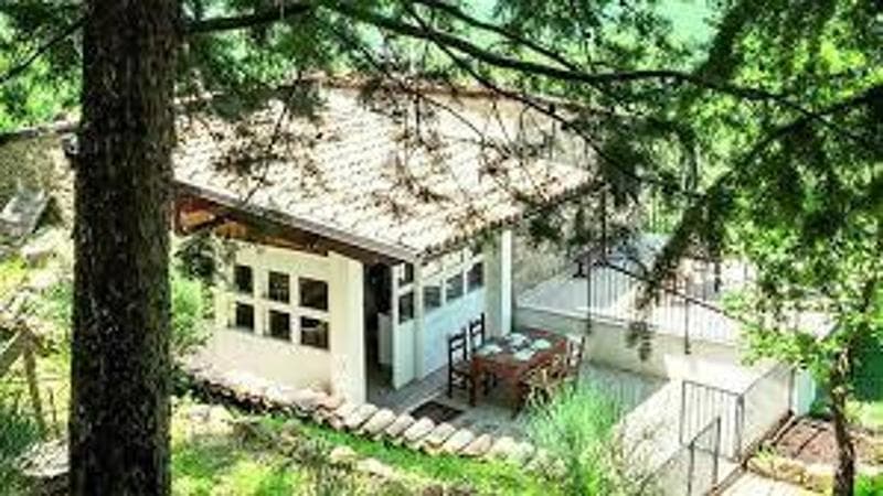 Una Fondazione di Trieste si offre di coprire l'affitto per una famiglia nel bosco per i prossimi 12 anni. 1