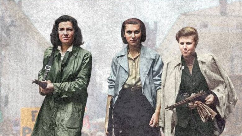 25 aprile, manifestazione a Ferrara: “Mantenere viva la bandiera della Resistenza” 1