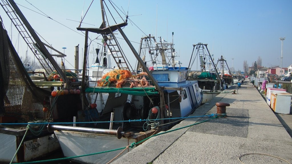 Canone per le acque interne: la Regione si prepara a supportare i pescatori di Comacchio. 1