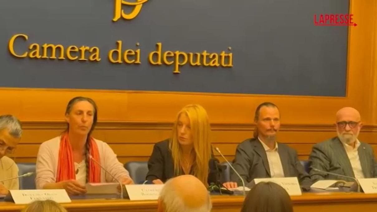 Catherine alla Camera: “Non ho mai assistito a una simile brutalità in tutta la mia esistenza” 2