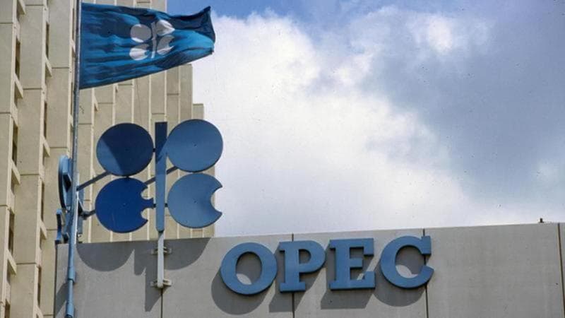Che cos'è l'Opec, l'organizzazione dei Paesi produttori di petrolio che ha contrastato l'influenza degli Stati Uniti. 2