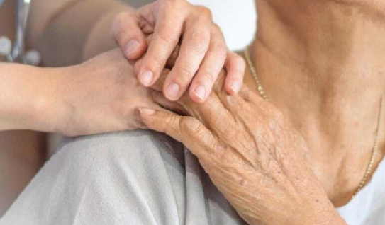 Dl Caregiver, il Pd: “La risposta del Governo è insufficiente. Necessaria una riforma” 1