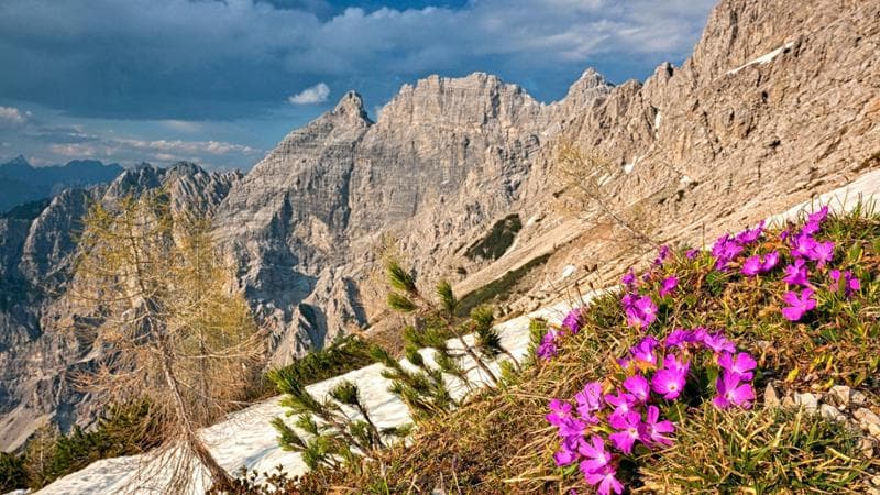 Eccessivo afflusso di turisti a Cortina, in arrivo gli agenti per la tutela dei sentieri 2