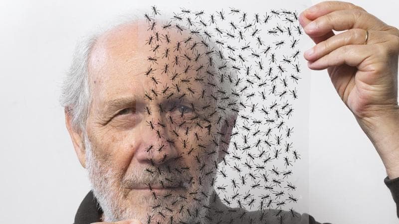 Emilio Isgrò riceve il premio per la Cultura del Mediterraneo 2