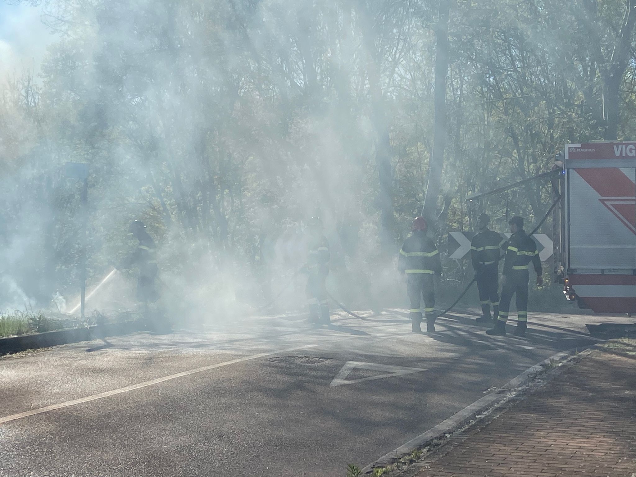 Fiamme in un'area verde a Ferrara, intervento pomeridiano tra via Girotti e via Gulinelli 1