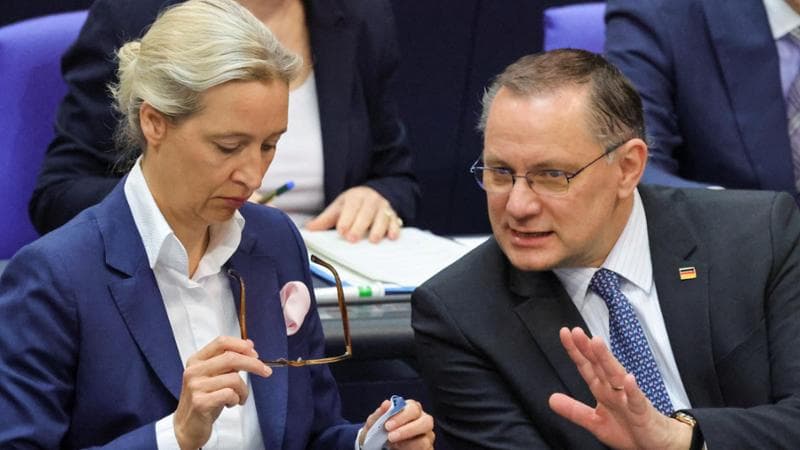 Germania, l'Afd in testa nei sondaggi: supera la Cdu di cinque punti. 2