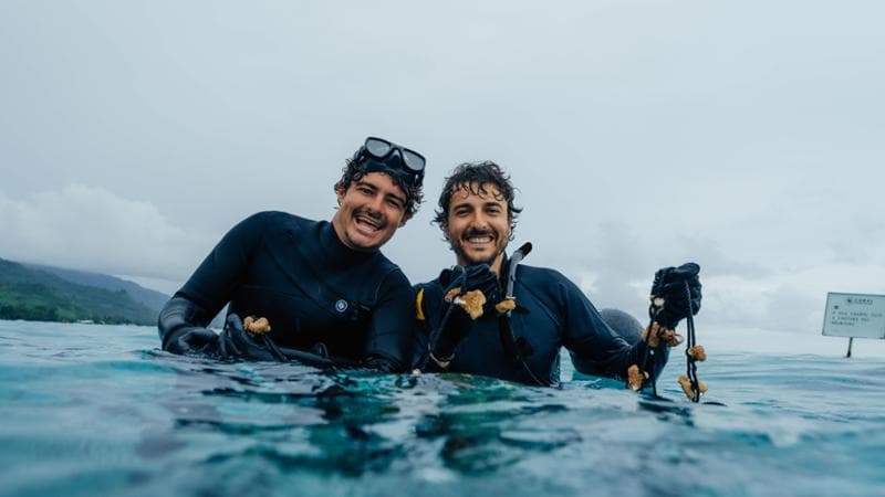 I giardinieri marini: “A breve in Italia per reintegrare la specie nera di Marettimo” 2