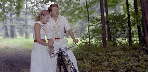 "Il Giardino dei Finzi-Contini" riemerge a Ferrara con eventi cinematografici e nuove proposte culturali. 1