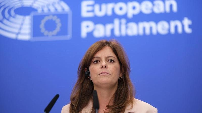 Ilaria Salis: “Con il mio collaboratore non c'è stata una relazione duratura, siamo stati soltanto compagni di stanza” 2