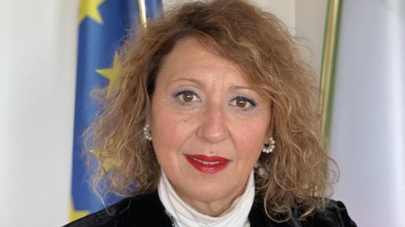 La psicologa: “I giovani mancano di un senso dei confini, responsabilità anche dei genitori” 2