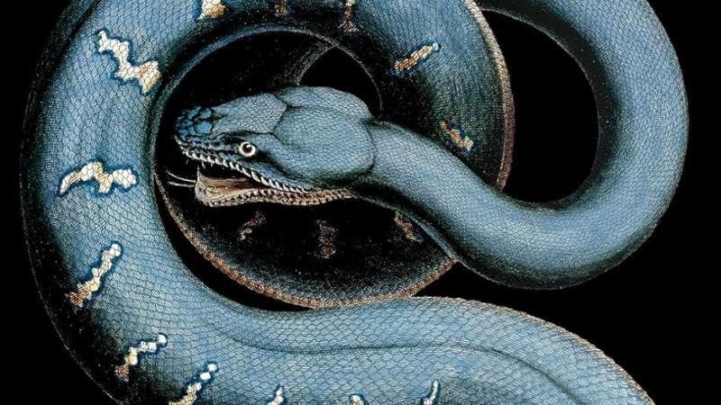 La rete conservatrice che circonda Israele. L'analisi di Elena Testi 2