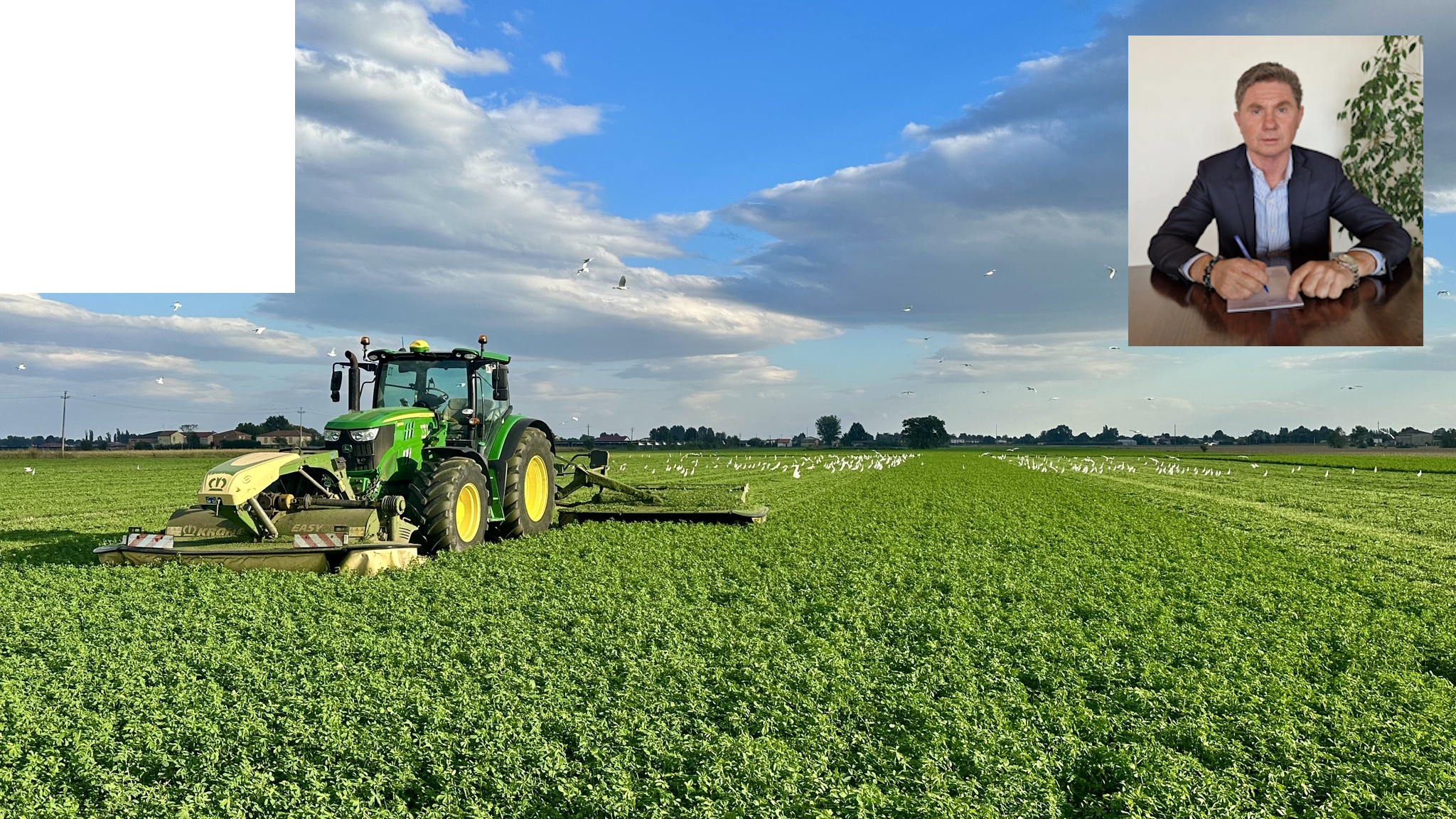 "Lo Stretto di Hormuz fondamentale anche per l'esportazione di foraggi" 1