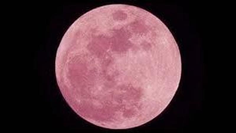 Luna Rosa, il plenilunio di aprile di questa notte: un appellativo che evoca fiori, non tonalità. 2