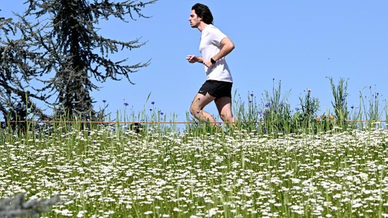 Meteo: Pasquetta con condizioni stabili. Bel tempo su tutto il territorio fino a mercoledì. 2