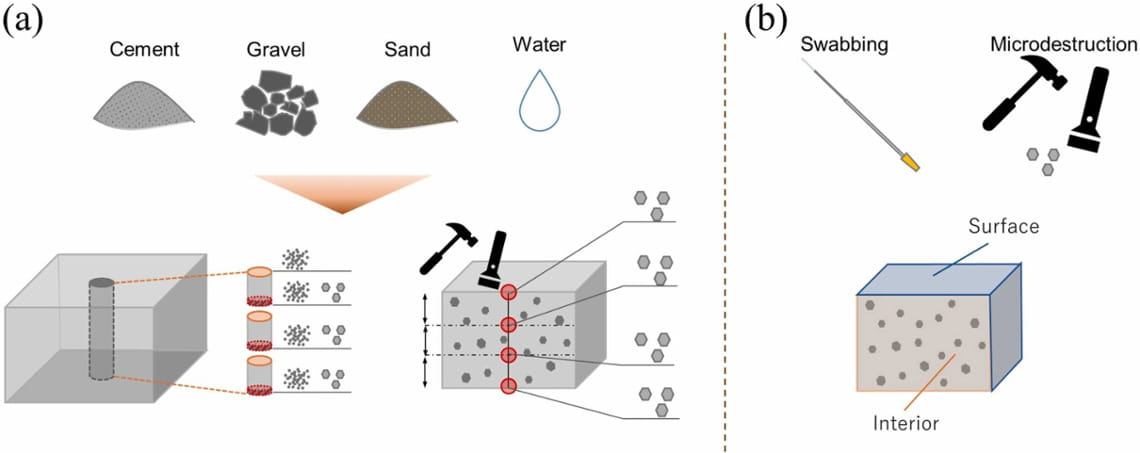 Microorganismi nel cemento per anticipare i danni a viadotti e strade. 3