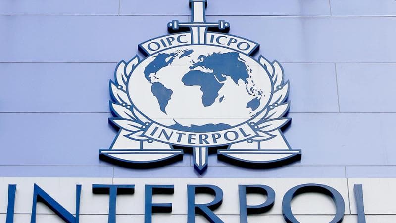 Minetti e Cipriani, le vicende passate trascurate e il catalogo degli eventi. L'Interpol avvia un'inchiesta in Uruguay. 2