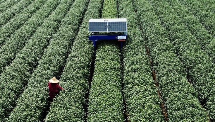 Motivi per cui la Cina ha superato gli Stati Uniti nella competizione sull'intelligenza artificiale 2