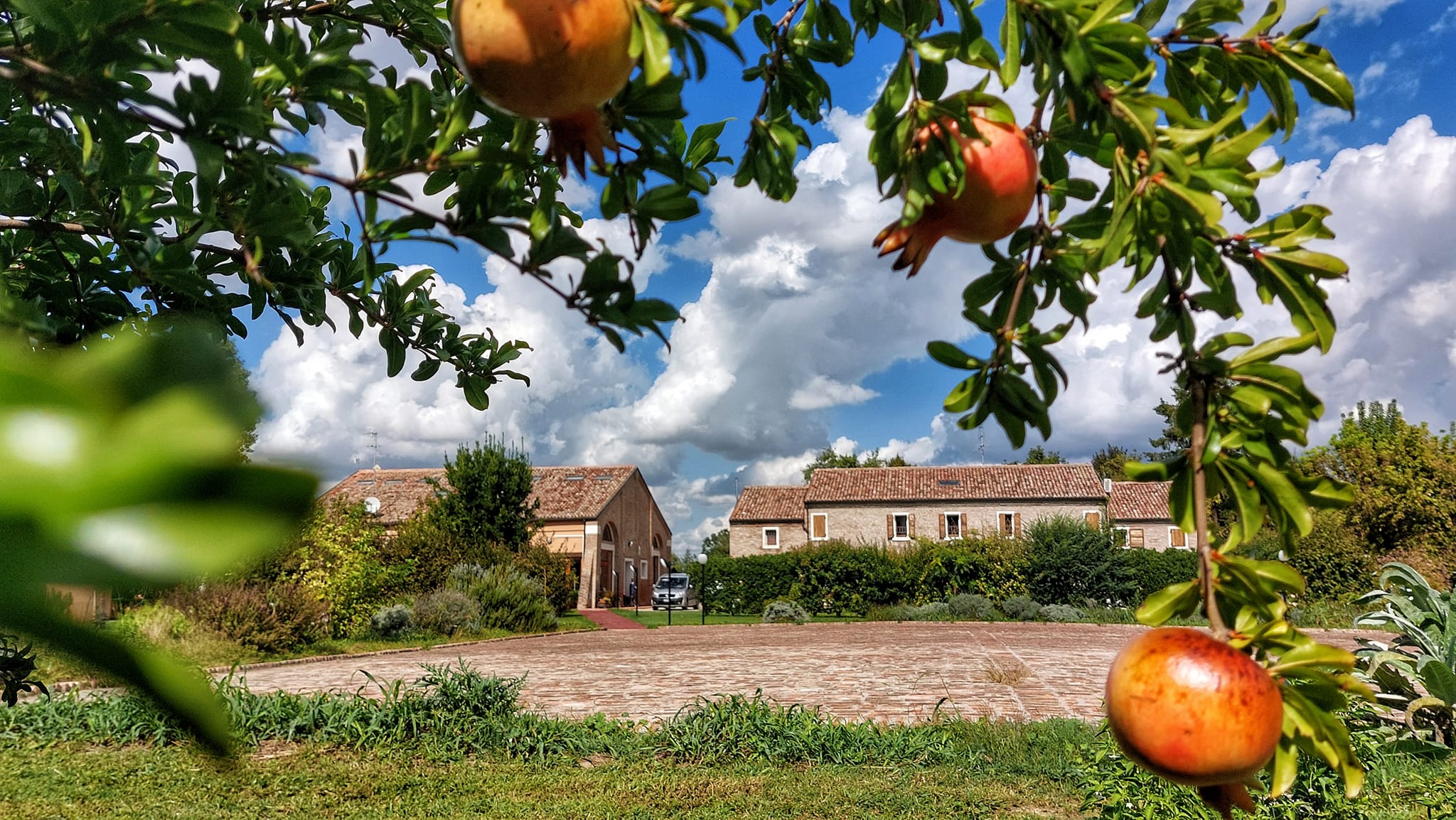 Primo Maggio, la Fiom Cgil di Ferrara pone l'accento su occupazione, sicurezza e sanità pubblica. 1