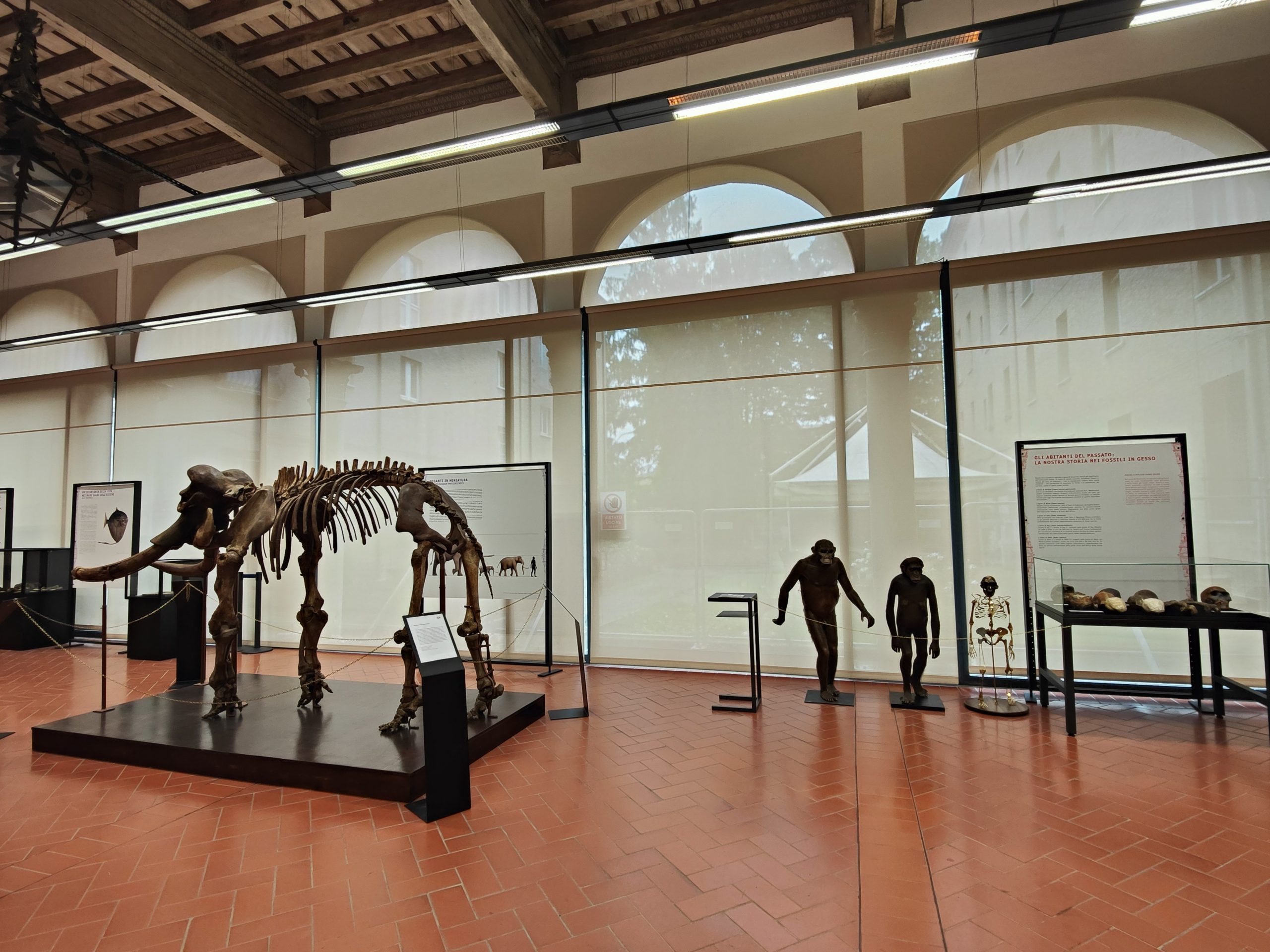Sessant'anni del Museo di Paleontologia e Preistoria Piero Leonardi: esposizione commemorativa presso Unife 1
