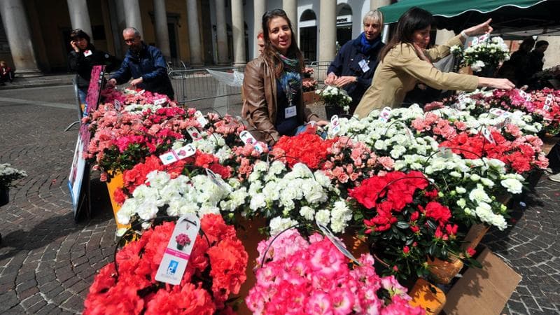 Airc, domenica si celebra la Giornata delle Azalee. La ricerca si impegna nella lotta contro il tumore del pancreas. 2