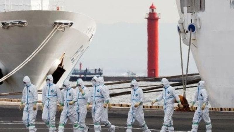 Alimenti, roditori e vasche idromassaggio: ecco perché la nave si trasforma in un ambiente favorevole per le epidemie. 2