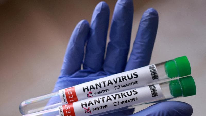 Catalogna: rilevata una donna esposta all'Hantavirus. 2