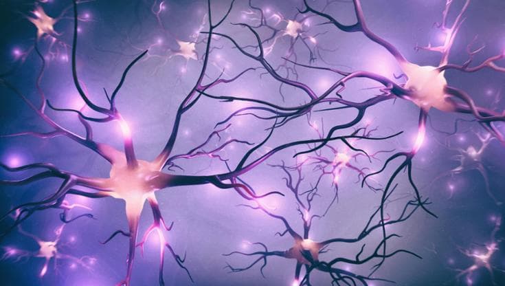 Computer quantistici: individuata la modalità per convertire il rumore in opportunità, ispirandosi ai neuroni. 2