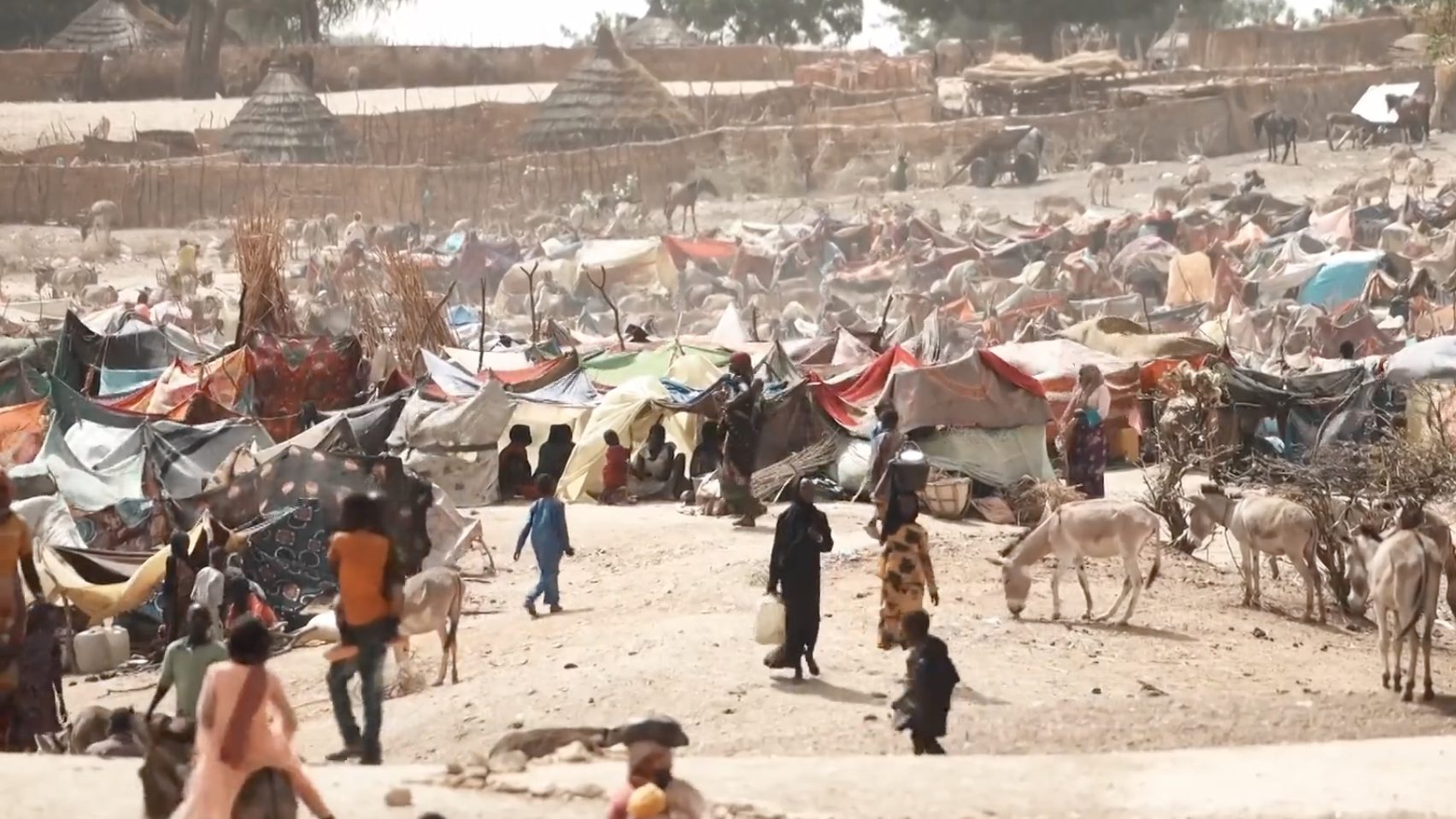 Crisi in Sudan. Fiorentini: “Ferrara parla finalmente” 1