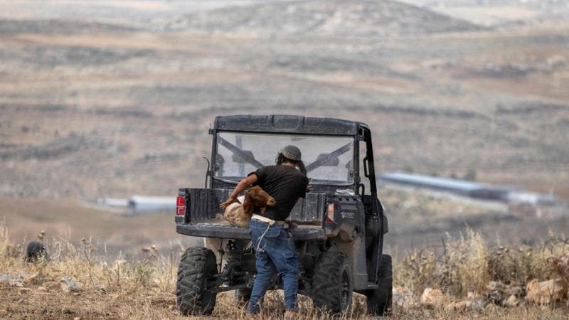 Divieto di importazioni dalle colonie israeliane in Palestina: la proposta legislativa del centrosinistra 2