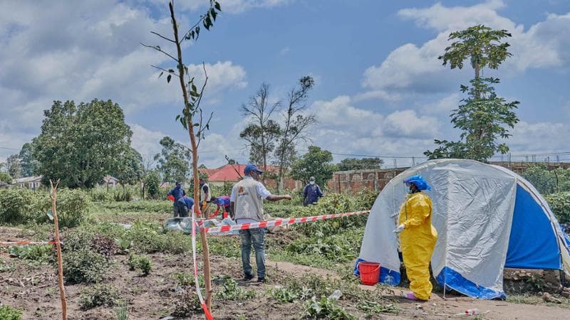 Epidemia di Ebola, chiarimenti e informazioni: dal contagio attraverso i fluidi biologici alla mortalità del 32% 2