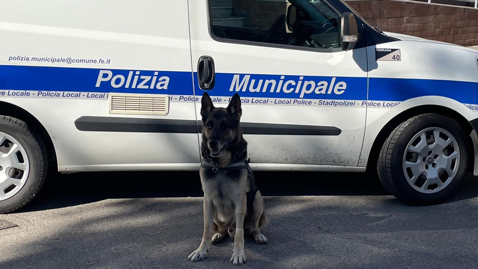 Ferrara, scoperta cocaina occultata in pacchi destinati ai detenuti: sequestri effettuati nella Casa Circondariale. 1