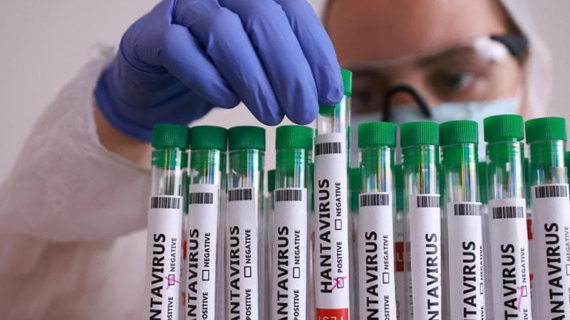Hantavirus, turista britannico messo in isolamento al Sacco di Milano: si trovava sul volo vicino alla seconda persona deceduta. 2
