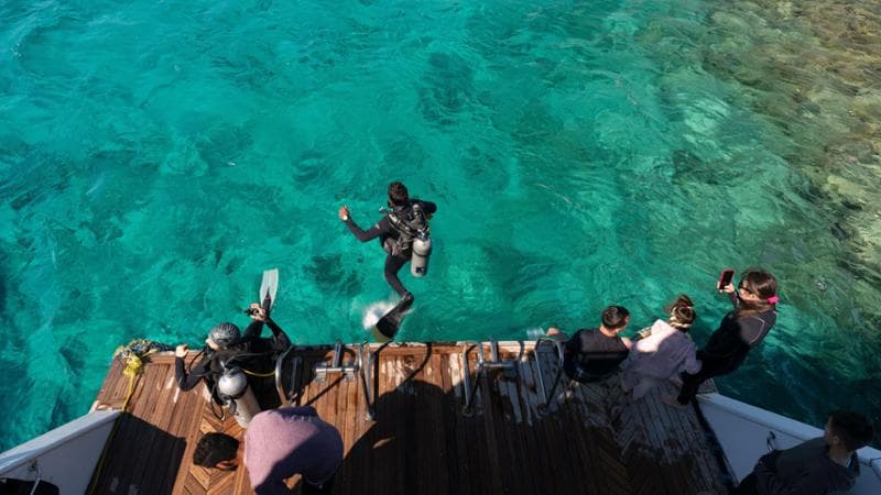 Il regno delle immersioni, meta ambita dai viaggiatori tra squali e coralli. 2
