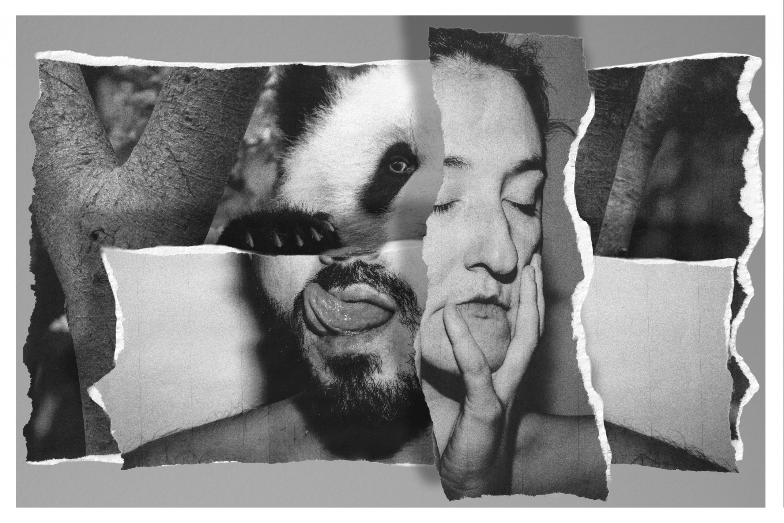 "La diplomazia del panda": teatro e geopolitica si uniscono al Bonsai Festival. 1