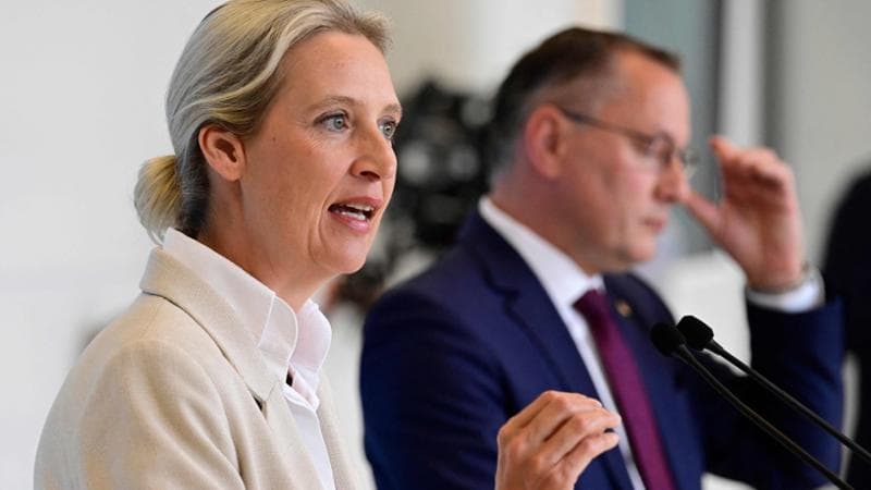 L'Afd guadagna terreno in Germania. Preoccupazione per il programma in Sassonia-Anhalt, dove potrebbe ottenere il governo autonomamente. 2
