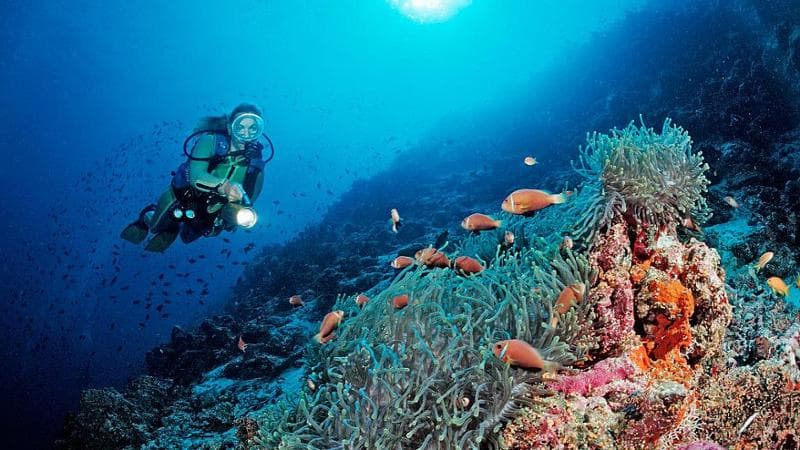 L'atollo di Vaavu, il luogo da sogno delle Maldive dove hanno perso la vita i sub italiani. 2