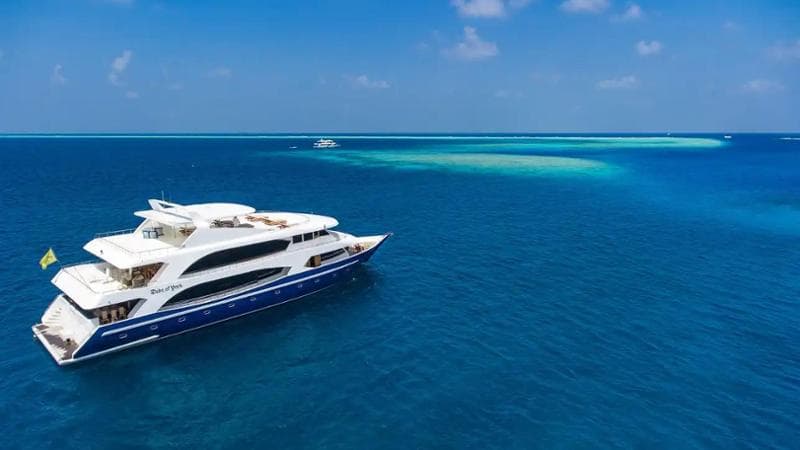 Le crociere subacquee: viaggi esclusivi da diverse migliaia di euro per gli amanti delle immersioni. 2