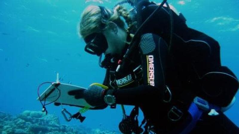 Le Maldive, un patrimonio per i biologi marini. “Subacquei esperti, ma nelle cavità è semplice smarrirsi” 2