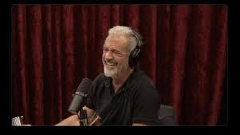 "Mel Gibson e il suo spettacolo: le vendite di ivermectina raddoppiano grazie ai racconti di tre amici guariti dal cancro." 3