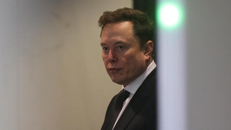 Musk critica Rousseau: “Diabolico str... ha alterato l'evoluzione del pensiero occidentale” 2
