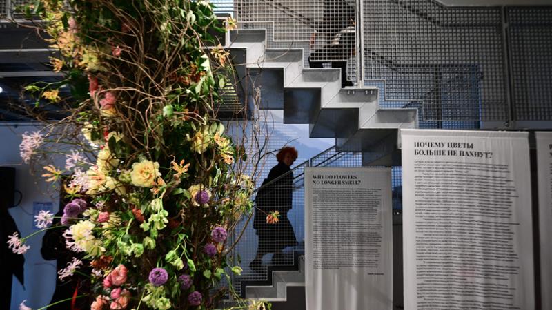 Nuova comunicazione dell'Unione Europea alla Biennale: “Offrire servizi al governo russo contravviene alle sanzioni” 2