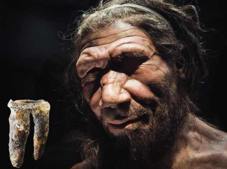 Rinvenuto un molare di Neanderthal risalente a 59.000 anni fa. 1